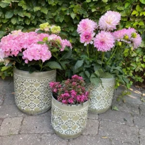 Blomkruka Inomhus Zink antikgröna, set om tre H29xD26 cm
