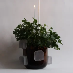 Blomljus tunna och långa 38cm snö