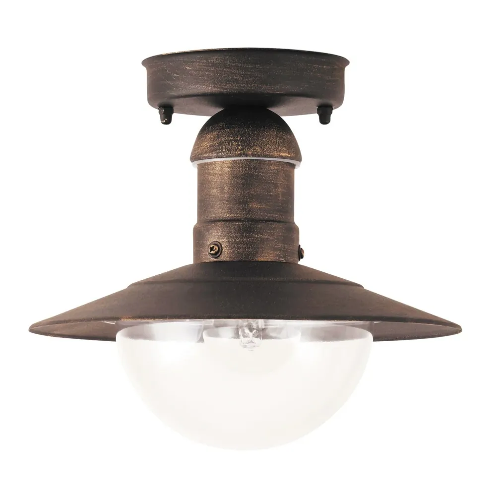 Rabalux Oslo 8736 Taklampa I Steel För Utomhusbruk