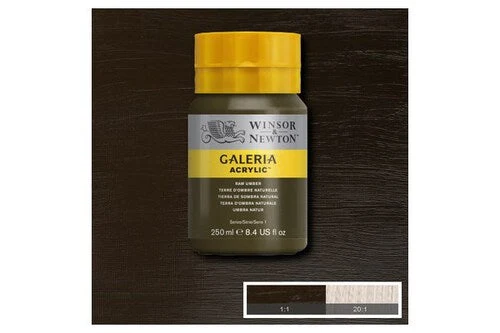 Winsor Galeria Akrylglas 250Ml Raw Umber 554