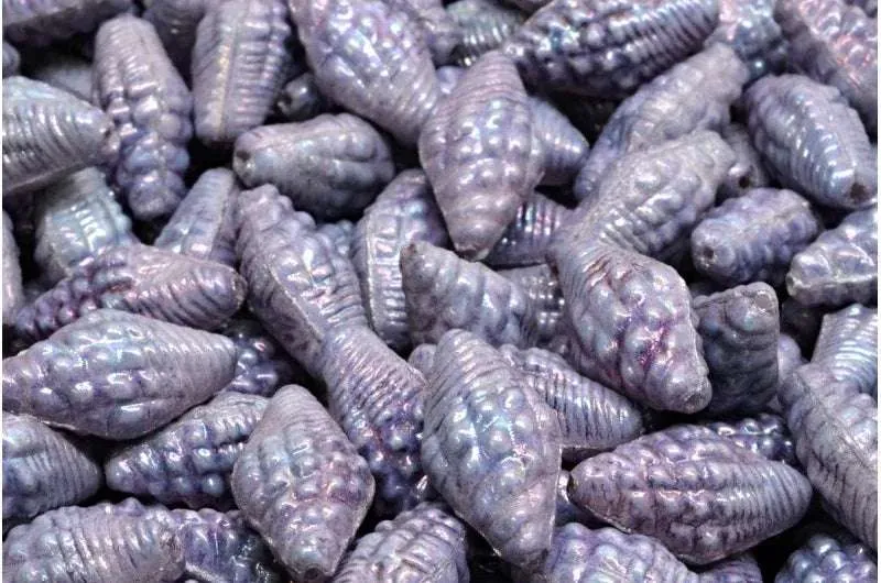 Miter Shell Beads - Chalk white lila nebula 16x8mm, set ten