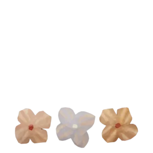 Poesie Hand-carved Magnets - Set 3 - Olika