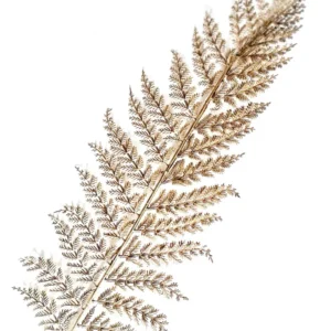 212 " Feather" 30x40cm