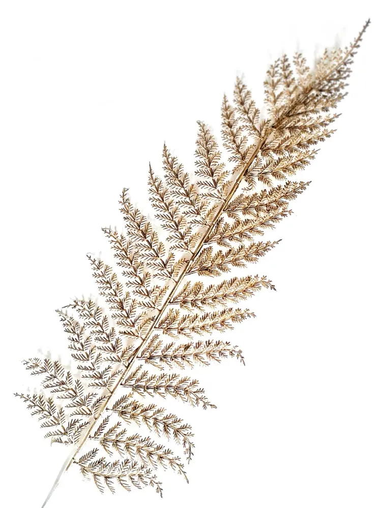 212 " Feather" 30x40cm