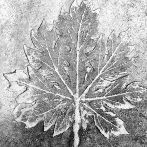 340" Leaf" 30x40cm