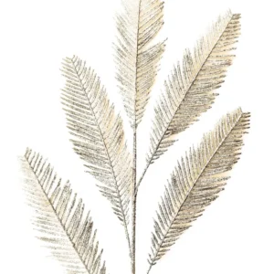 370 " Feathers" 30x40cm