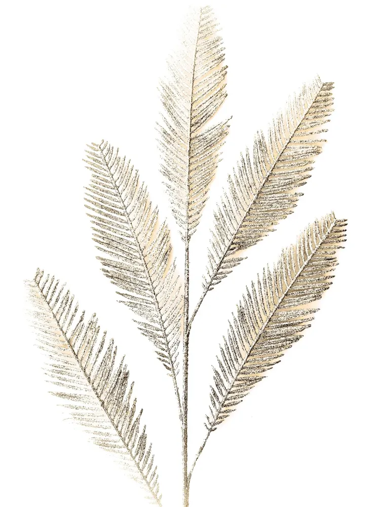 370 " Feathers" 30x40cm