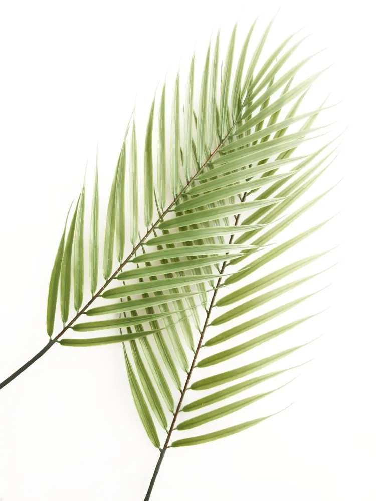 475 "Green Leafs" 30x40cm