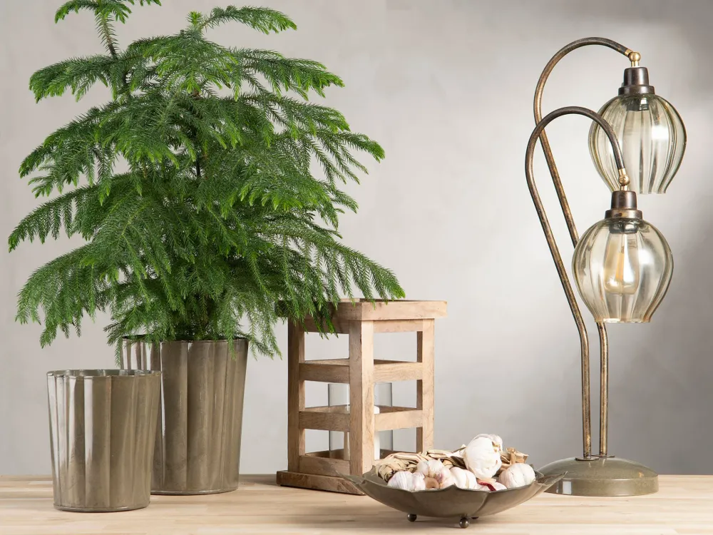 Bordslampa DUO OLIVE 75cm