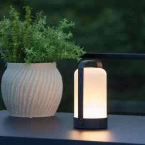 Bordslampa Venture Home Fern Storage Case