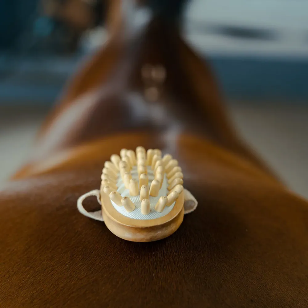 Borstiq Farm Massageborste 3-Year Service Plan