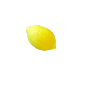 Citrontvål