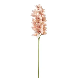Cymbidium 110cm coral