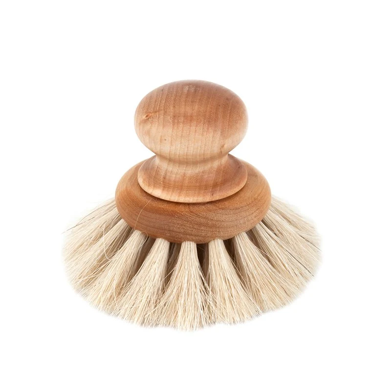 Diskborste Med Knopp Industrial Design