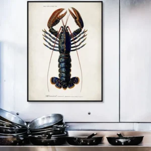 Dybdahl "Lobster" 50x70 cm