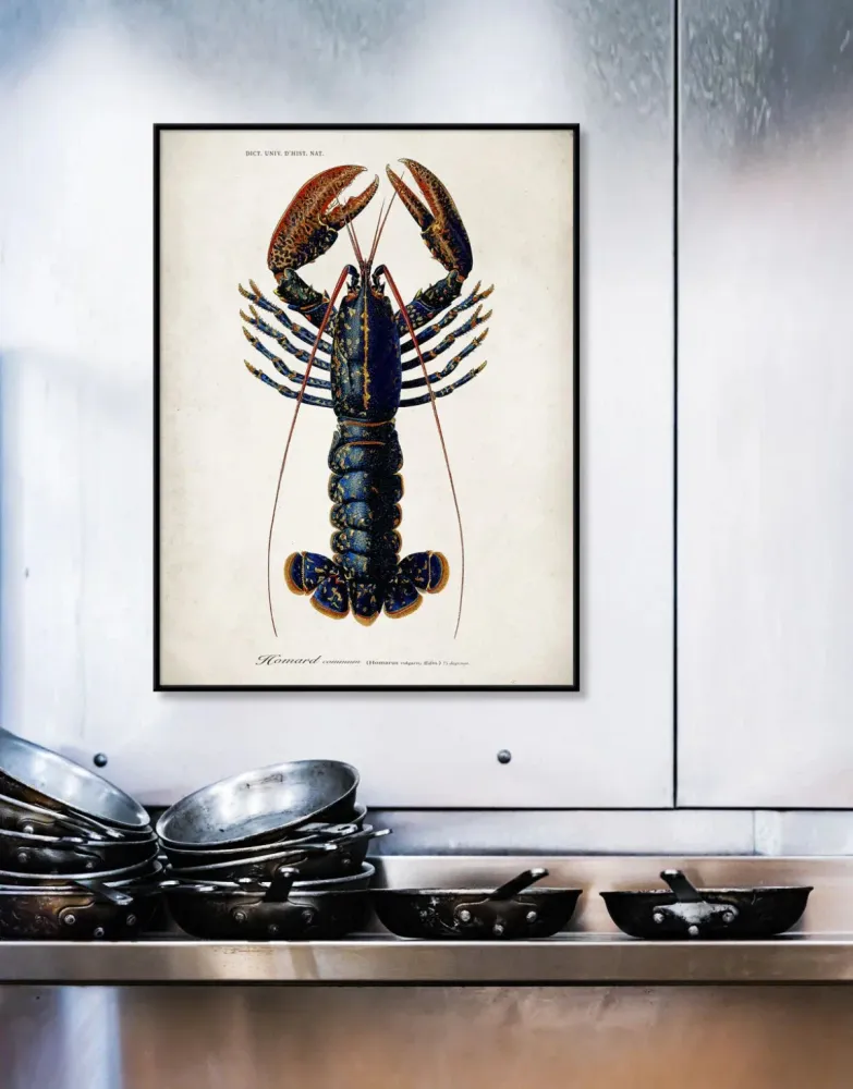 Dybdahl "Lobster" 50x70 cm