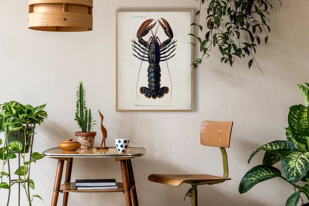 Dybdahl "Lobster" 50x70 cm
