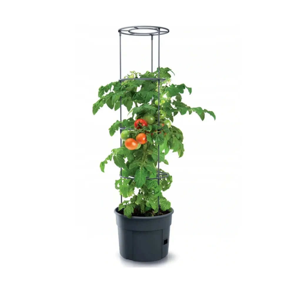 Industristyrka Tomatodlare IPOM400 tomatkruka