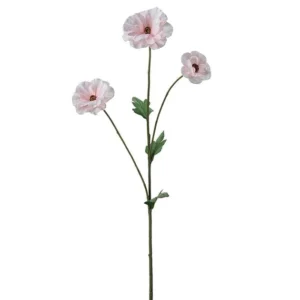 Japansk Ranuncel fuchsia 62 cm