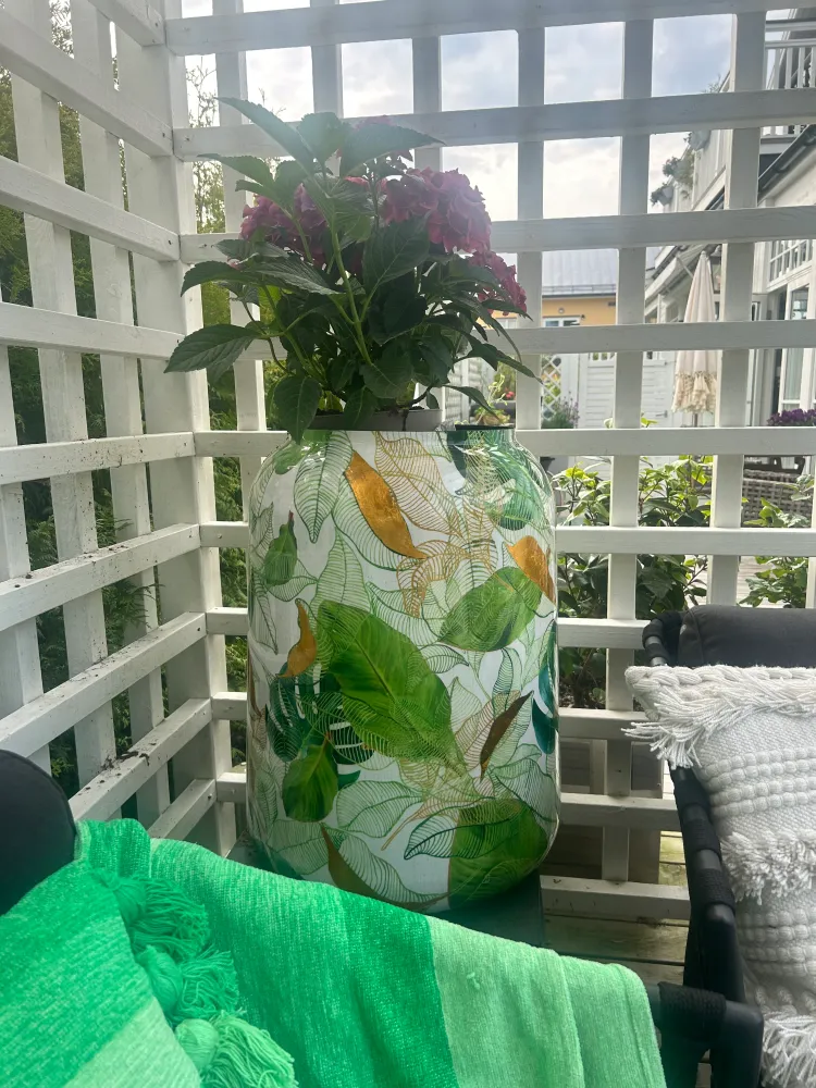 Kruka av zink Monstera rymlig