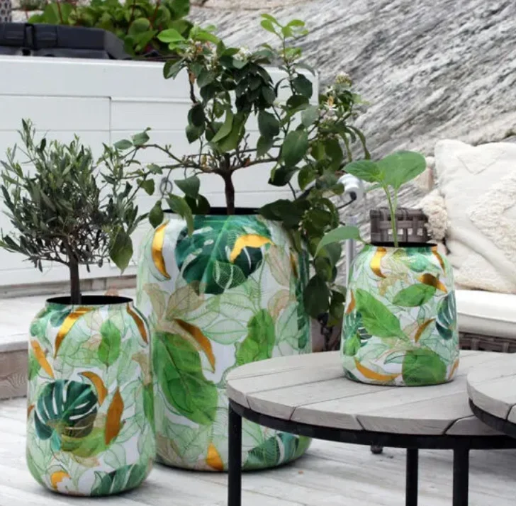 Kruka av zink Monstera rymlig
