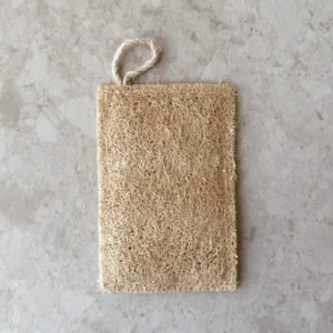 Loofah Disksvamp | Lifetime Warranty