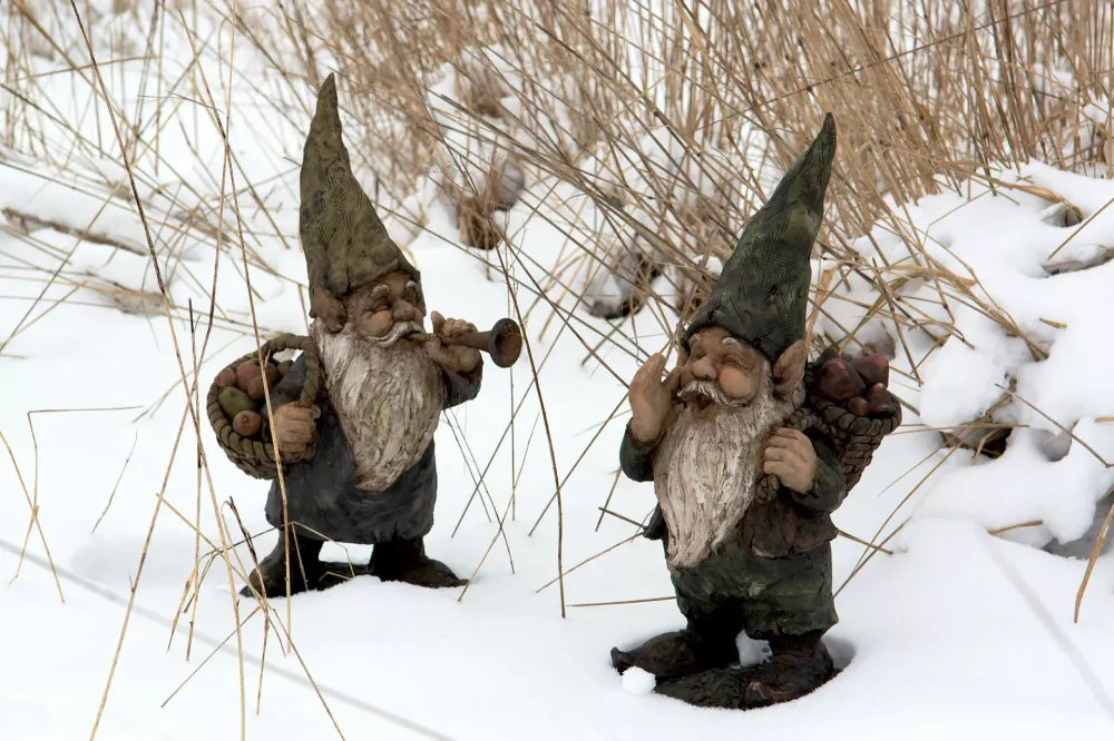 Magnetisk Gnome Fanfar