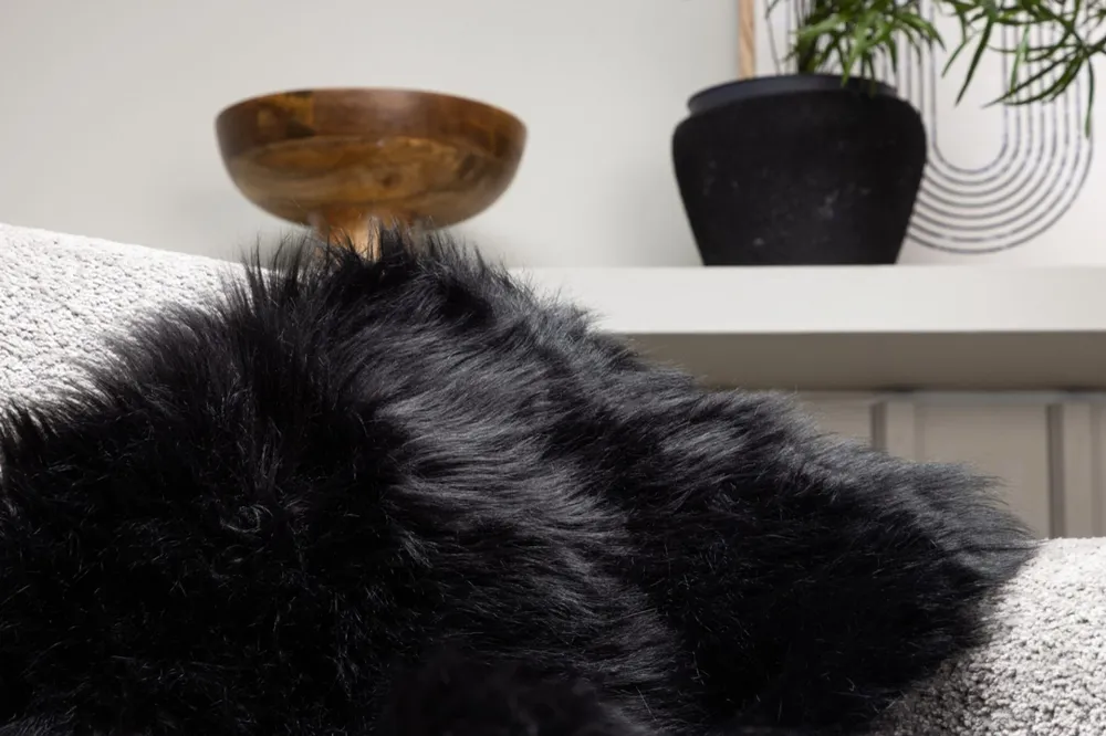 Magnetisk Kasta Venture Home Katy