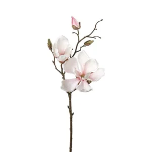 Magnolia 45cm Coral