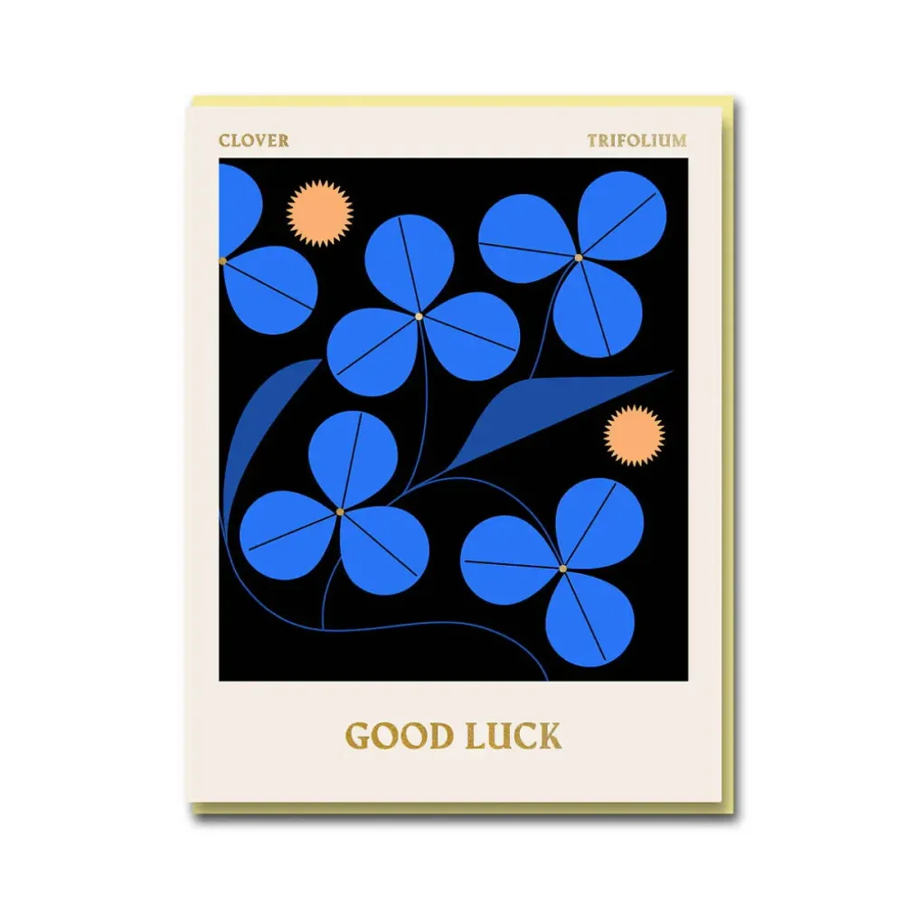 Mini Good Luck | Variable Speed | Overload Protection