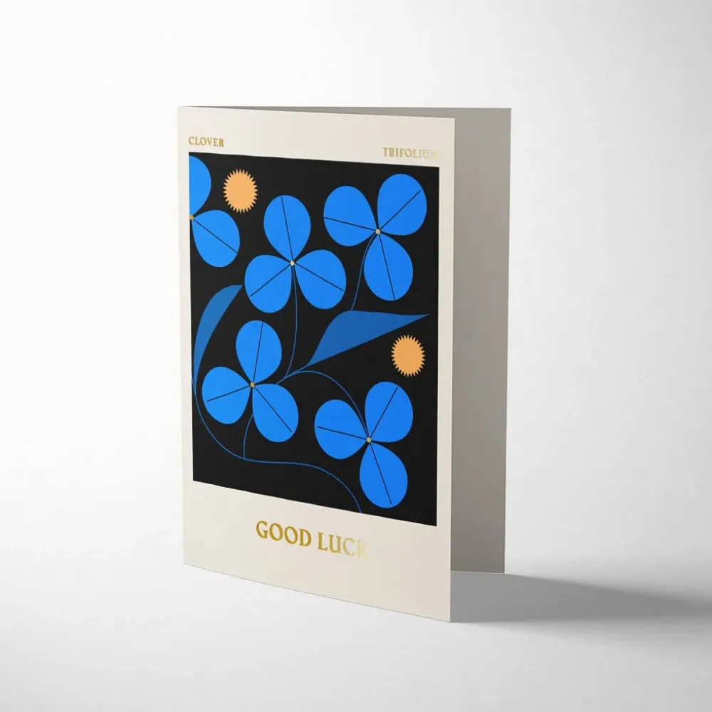 Mini Good Luck | Variable Speed | Overload Protection