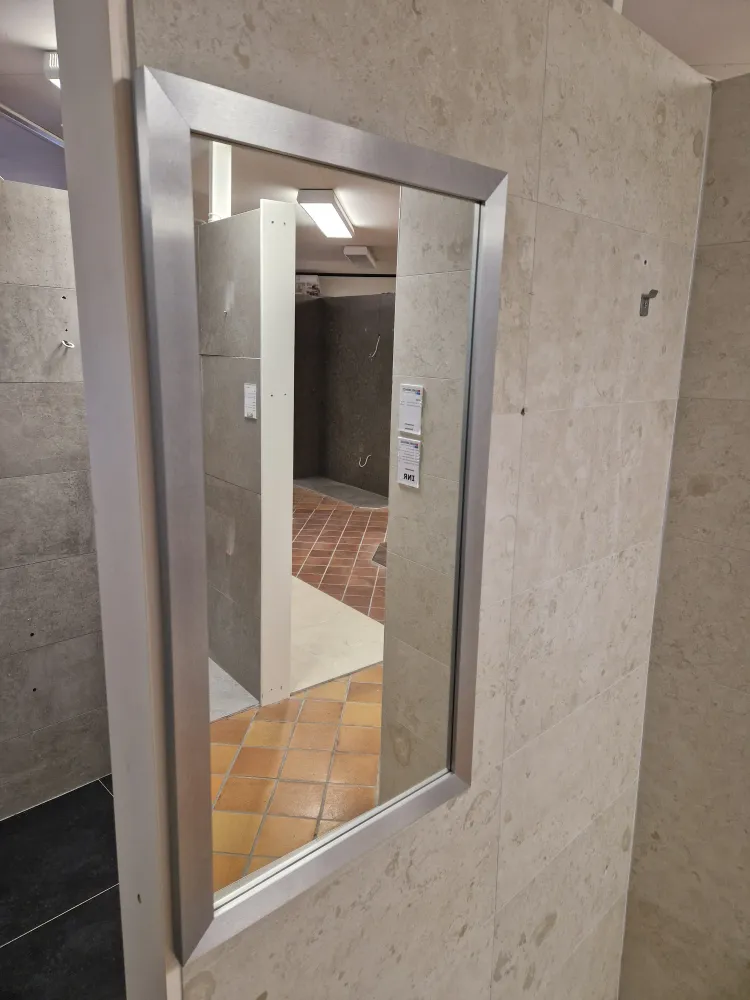 Multi-Purpose Spegel i satinerad aluminium