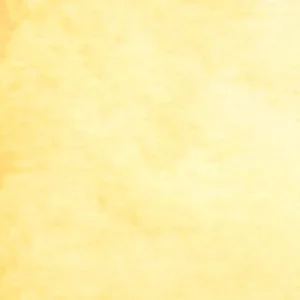 No.11 Natural khaki