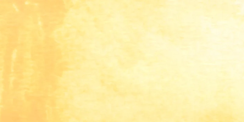 No.11 Natural khaki