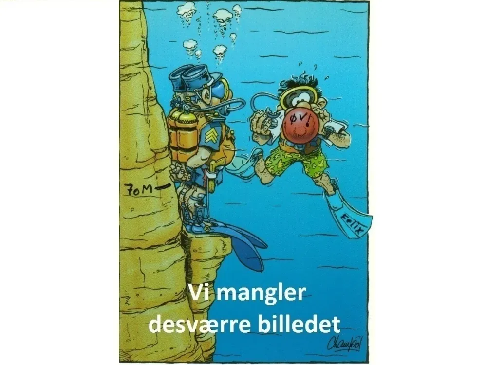 Precision Værktøj til Afmontering af Ventil