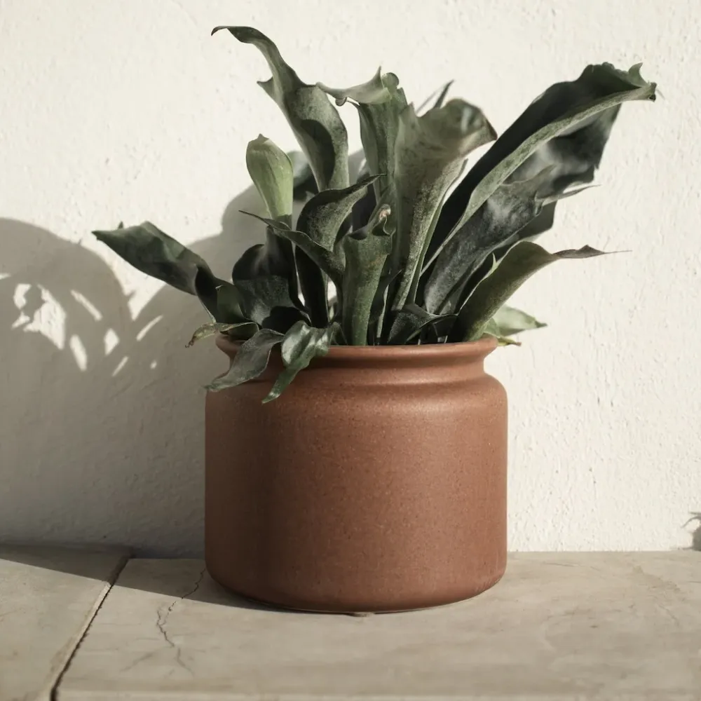 PURE Kruka Medium H20cm, Brun Home & Workshop