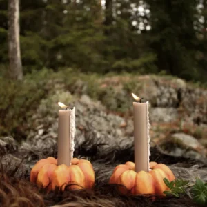 Safety Rated Pumpaljusstake