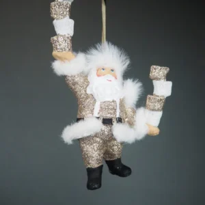 Santa w cholate tower champ