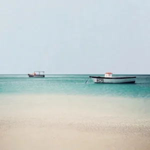 22 "Silent Sea" Bla