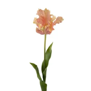 Tulpan Salmon 78cm Rosa