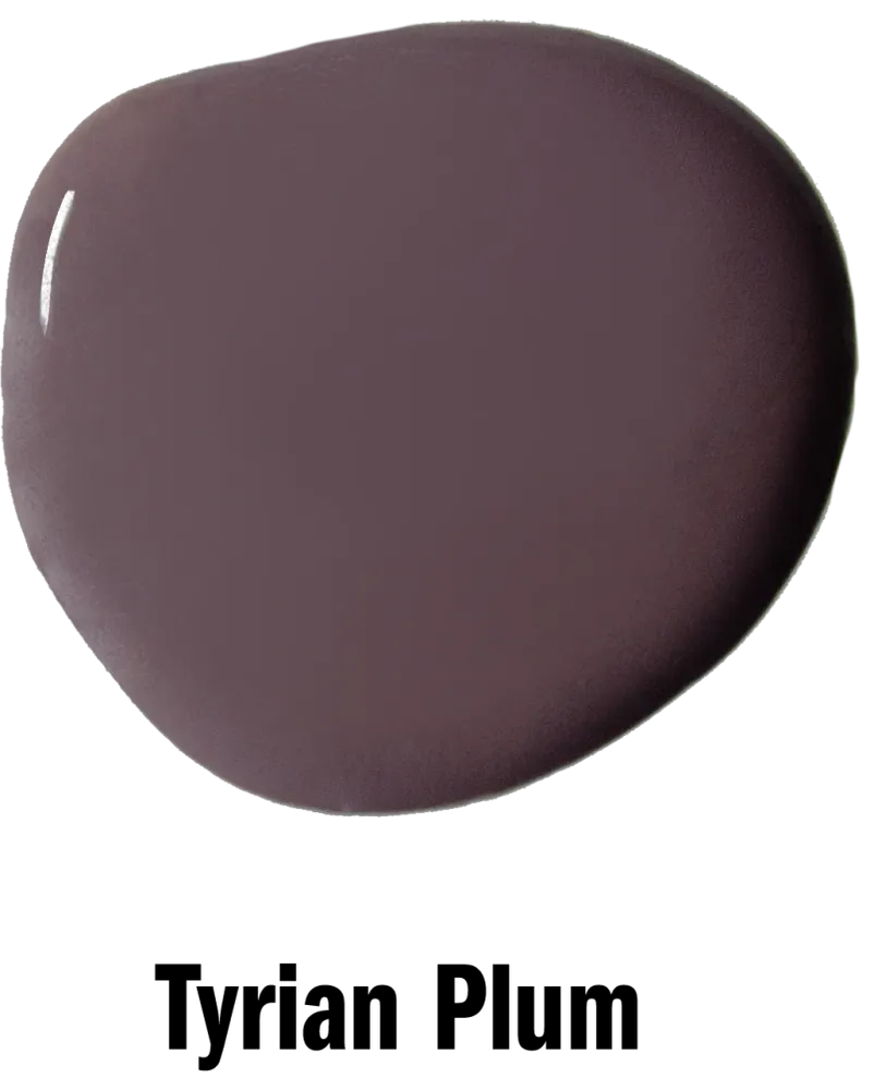 Tyrian Plum Wall Paint Electricians 2