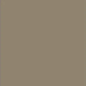 Tysk Kamera. Buff Wwii Matt 17Ml