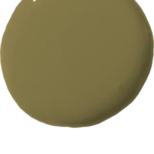 Snabbtorkande Olive Wall Paint 2